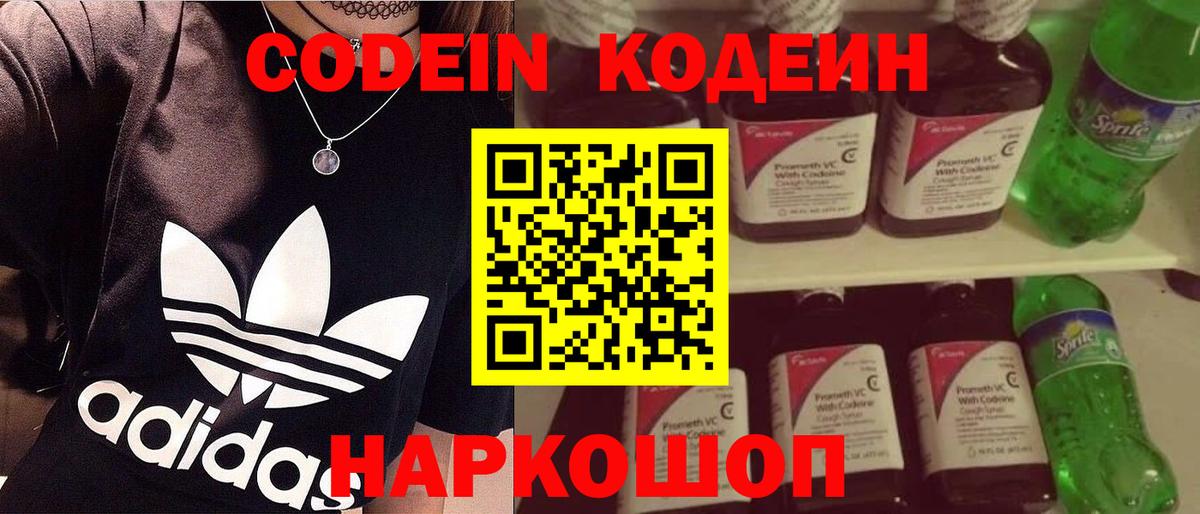 Каменск-Шахтинский  Кодеиновый сироп Lean Purple Drank  как найти закладки  Кодеин Purple Drank  Вход с VPN 