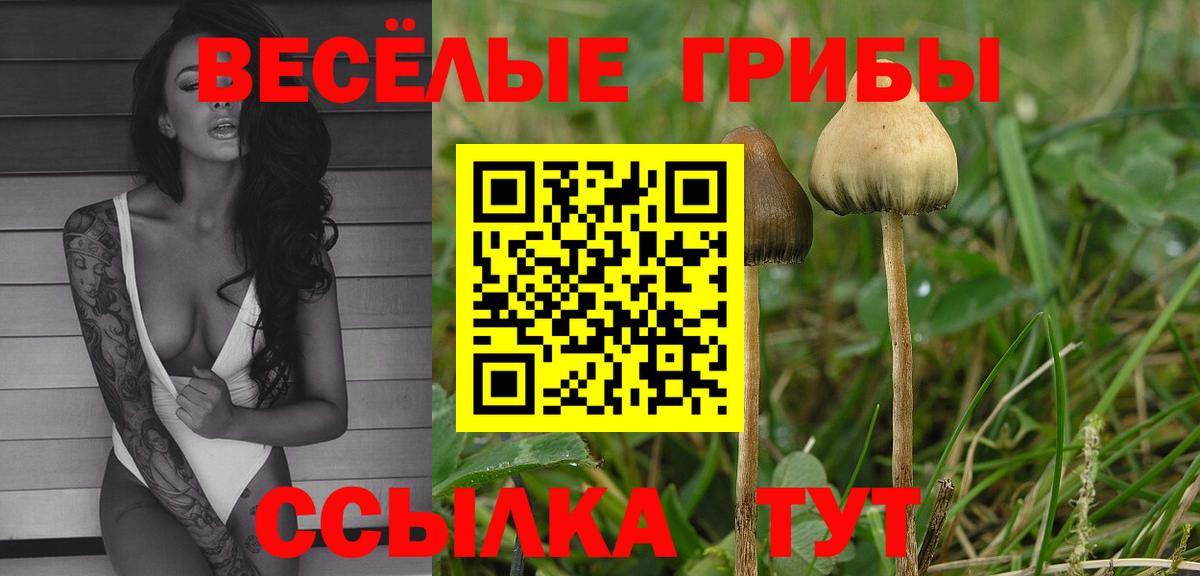 Псилоцибиновые грибы ЛСД Каменск-Шахтинский