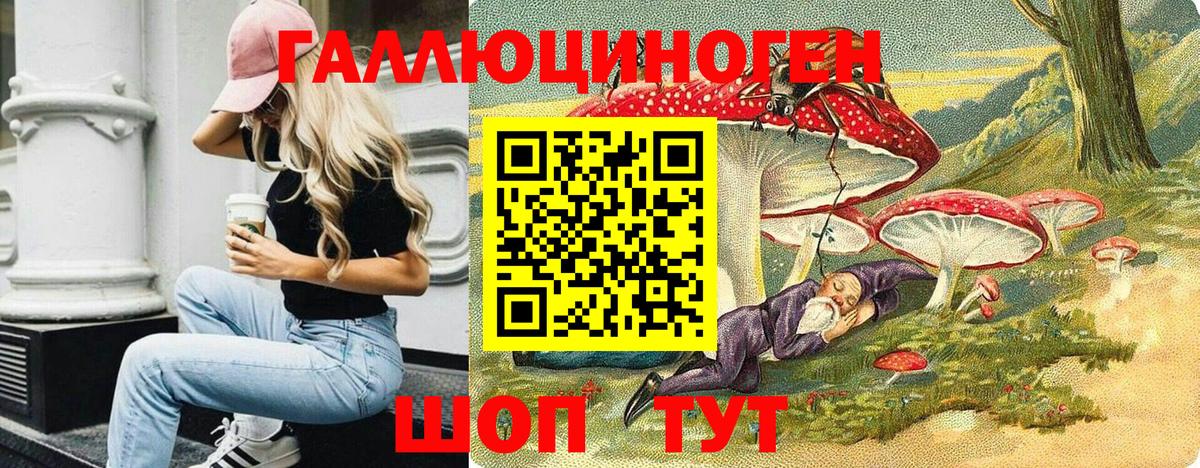 Галлюциногенные грибы мухоморы  купить наркоту  Каменск-Шахтинский  Вход с VPN 